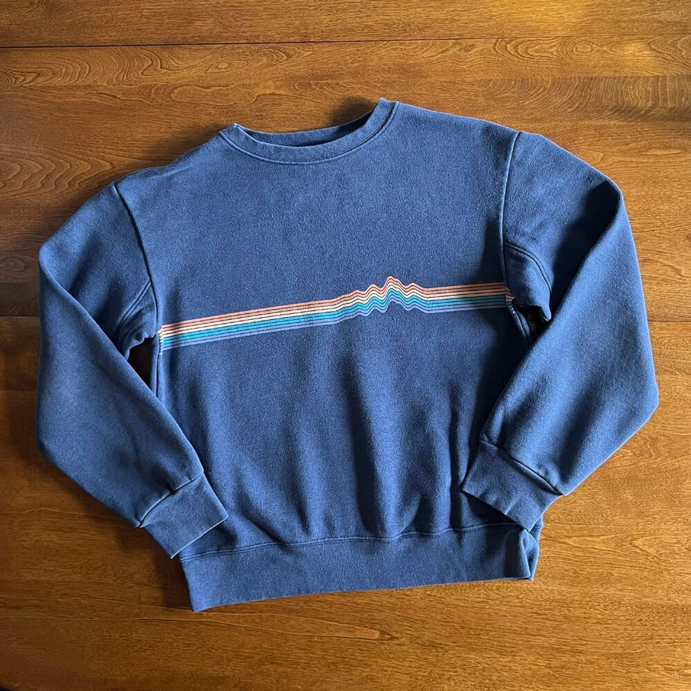 Patagonia sapphire blue sweatshirt XS